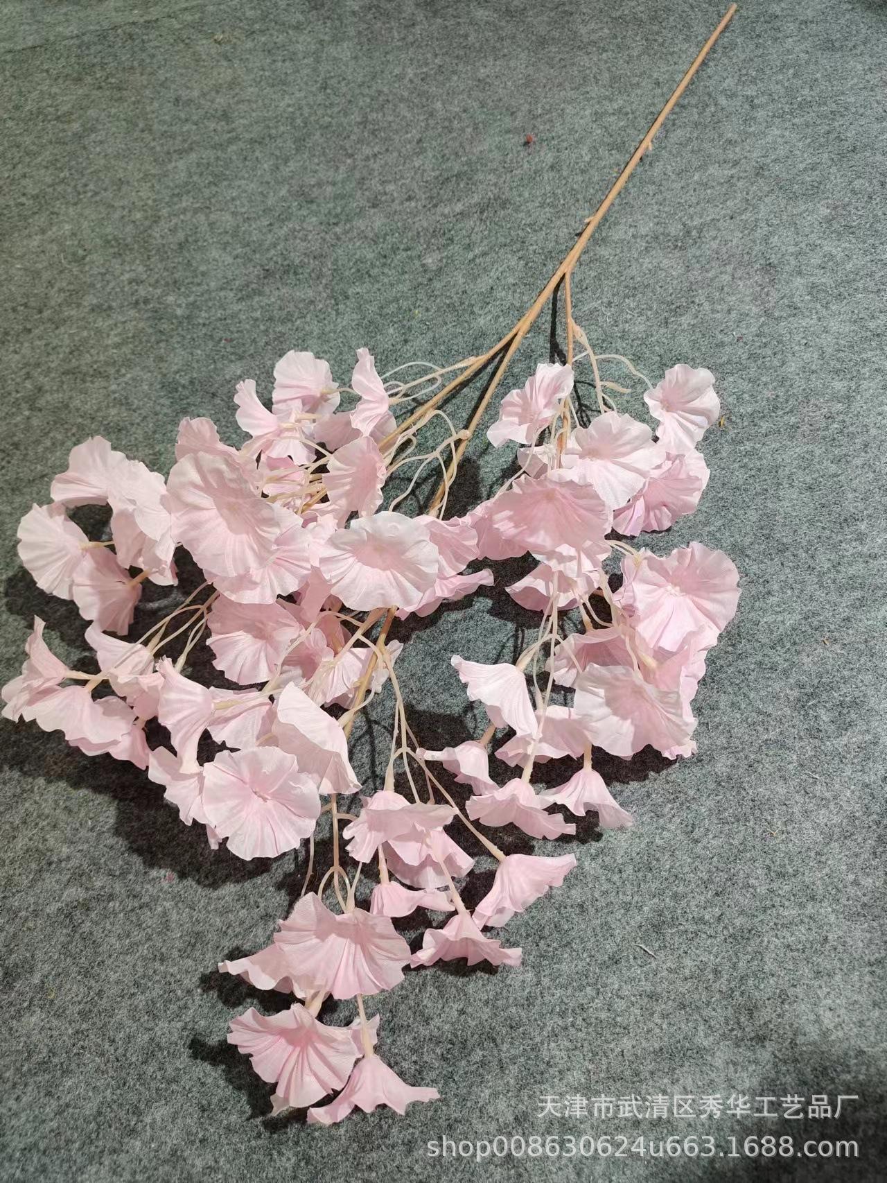 偻兰粉色
