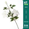 Flor Simulada Borracha Macia Clematis Orquídea Toque Rosa de Natal Decoração de Casa Casamento Sala de Estar Restaurante Arranjo de Flores Decoração