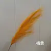 Libro Rojo Pequeño Fuegos Artificiales Caña Estilo Europeo y Americano Transfronterizo Estilo Ins de Amazon Caña Artificial Hierba de la Pampa Cola de Zorro