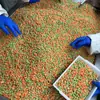 Verduras Mixtas Congeladas Rápidamente, Cubos de Zanahoria Congelada, Cubos de Chícharo Congelado, Arroz Frito al Por Mayor, Snacks Ligeros, Verduras Mixtas para Ensalada, Comida Instantánea
