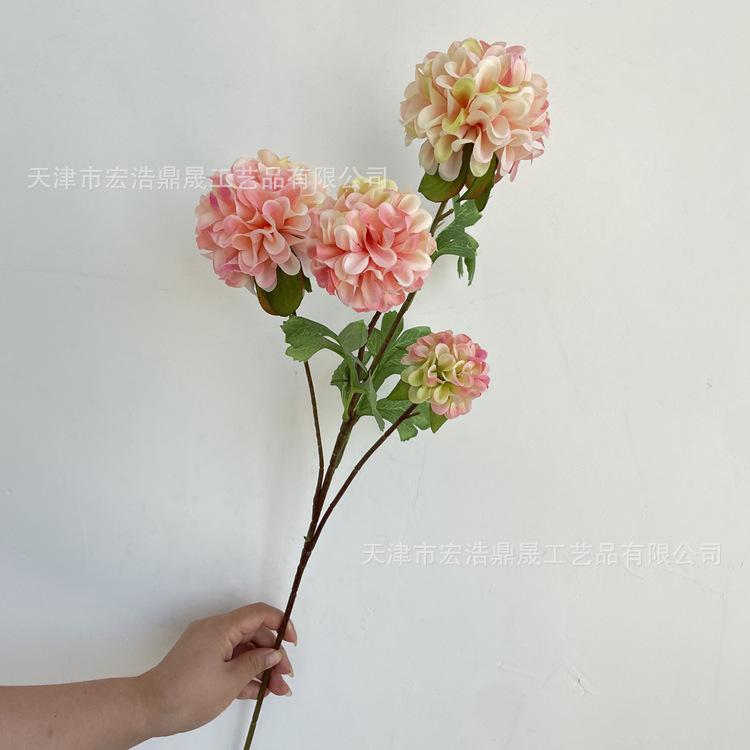 微信图片_202208311113224_副本