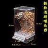 Alimentador automático antisalpicaduras y antidispersión para loros de peonía Xuanfeng de piel de tigre, nuevo comedero para pájaros, comedero transparente para pájaros