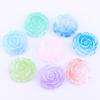 Nuevos accesorios de resina de camelia luminosa y que cambian de color con la luz, DIY, carcasa para teléfono móvil, artefacto de barril de explosión de estudio