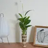 Conjunto de Vasos de Vidro Trançados em Palha Transfronteiriço Copo de Ovo Retrô Tecido à Mão Conjunto de Copos para Aromaterapia Copo para Velas Pote de Armazenamento Trançado em Palha