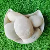 Local de Origem Cabelo liso Pedras brancas Pedras brancas para jardinagem plantas em vasos Pedras brancas para paisagismo de jardim seco