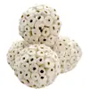Pelota de hierba natural loro piel de tigre xuanfeng bola para morder molienda de dientes molienda de pico juguete educativo para pájaros entrenamiento transfronterizo Amazon