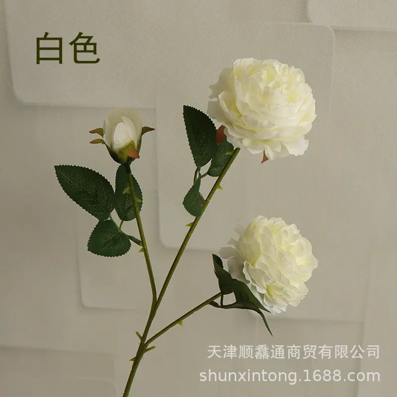 三叉洋牡丹白色1.jpg