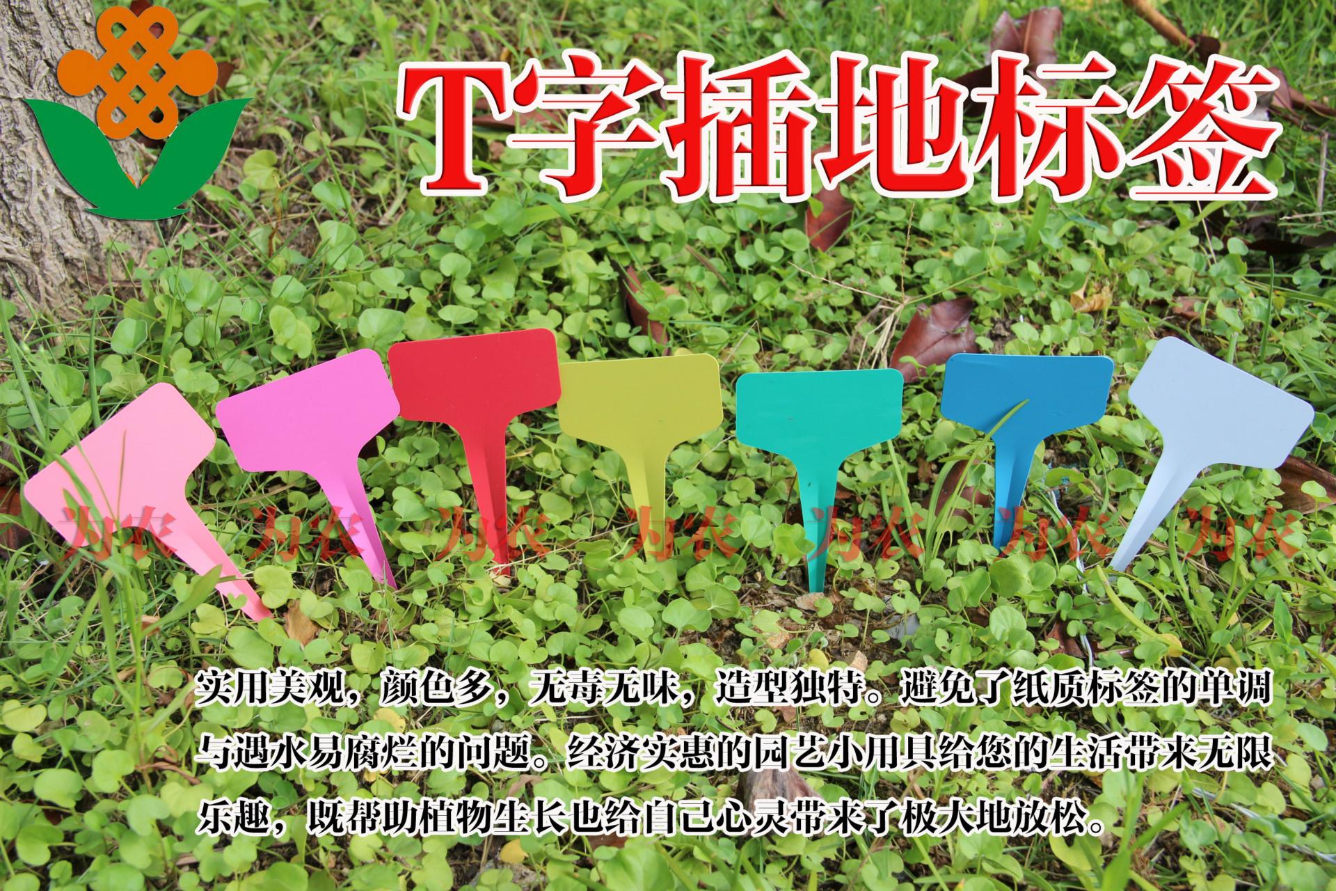 照片 035