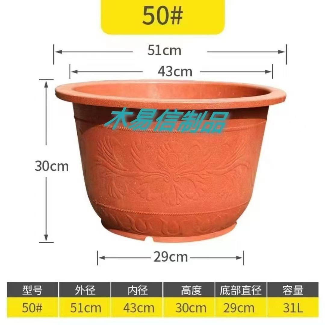 50红