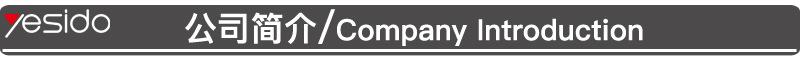 公司简介 (2)