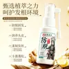Produto Popular de Venda Quente Xifei Essência Antiqueda de Cabelo Gengibre He Shou Wu Platycladus Orientalis Ervas Essência Spray Antiqueda e Fortalecimento Capilar