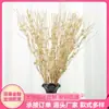 Pó de Ouro Transfronteiriço com Frutas, Bigodes de Dragão para Casamento, Decoração de Halloween, Pó de Ouro com Frutas, Bigodes de Dragão para Decorações de Natal