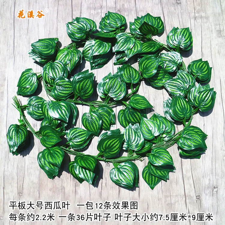 平板大号西瓜.jpg