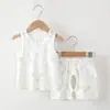 Conjunto de Chaleco para Niños, Verano Delgado Sin Costuras Ropa para el Hogar, Chaleco sin Mangas de Algodón Puro Clase A y Pantalones Cortos con Broches Inferiores para Niños y Niñas