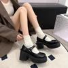 Zapatos Estilo Japonés Jk Punta Redonda Retro Mary Jane de Piel para Mujer Otoño 2025 Nuevo Tacón Alto Suela Gruesa Zapatos de Primavera y Otoño