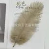 Fábrica em estoque 30-45cm alta qualidade pena de avestruz pena jóias faixa de cabelo pena de avestruz lâmpada de mesa floricultura pena DIY