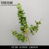 Decoración de Flores Artificiales Verdes Material de Flores de Hoja de Manzana Flor Exterior Planta Verde Hermoso Arreglo Chen Simulación de Hoja de Tortuga Arte Floral para Boda