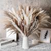Amazon Hot Sale Bohemian Wedding Home Buquê de flores secas pequeno Reed whisk coelho cauda grama pequena grama dos pampas