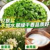 Gongtingju 40 Jin salsa fresca de puerro barril grande casera condimento instantáneo de cordero salsa de puerro comercial salsa para mojar para olla caliente