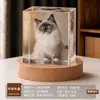 Bola de cristal creativa, luz de noche de madera maciza, lámpara ambiental de escritorio, decoración de mesita de noche, temática de mascotas gato y perro, regalo de recuerdo personalizable