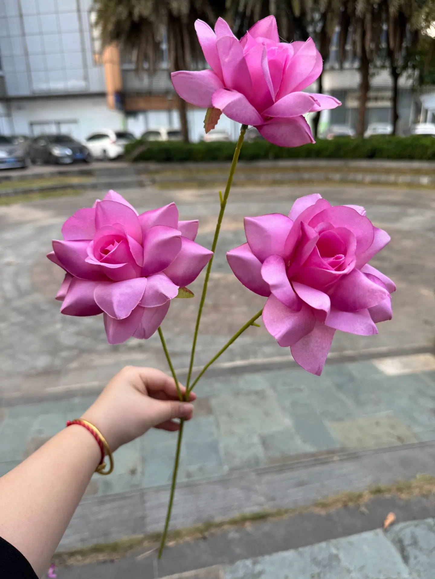 24 (15).jpg