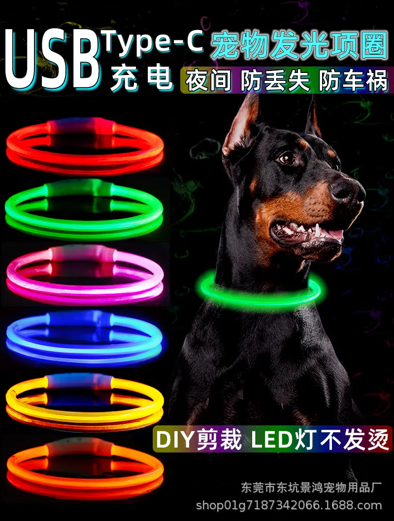 发光项圈