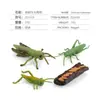 Simulación Transfronteriza Modelo de Araña Real Unicornio Insecto Juguetes para Niños Mariposa Abeja Adornos de Animales