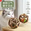 Bola de Catnip com Sino, Brinquedo de Autoentretenimento para Gatos, Vara de Mastigar, Brinquedo Agitador para Gatos