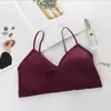 Sudeste Asiático Transfronterizo Chaleco Tirante Venta al por Mayor Ropa Interior Sin Costuras Ropa Interior para Mujer Correa para el Pecho Almohadilla para el Pecho Ropa Exterior Top Corto de Tubo