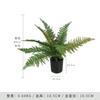 Helecho Cabeza de Mono Simulada Helecho Seda Dorada Helecho Cola de Caballo Decoración para el Hogar Planta Verde en Maceta Árbol de Helecho Simulado Planta en Maceta de Piso Venta al por Mayor