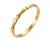 Pulsera de Bambú de Acero de Titanio para Mujer, Color Dorado, Brazalete Vintage de Lujo Ligero, No se Desvanece, Pulido Alto Espejo, Joyería Transfronteriza