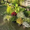 Arreglos de Plantas Grandes para Paisajismo, Decoraciones Florales de Jardín, Conjuntos de Paisajismo para Esquinas de Hoteles y Restaurantes, Manojos de Cañaveral Real