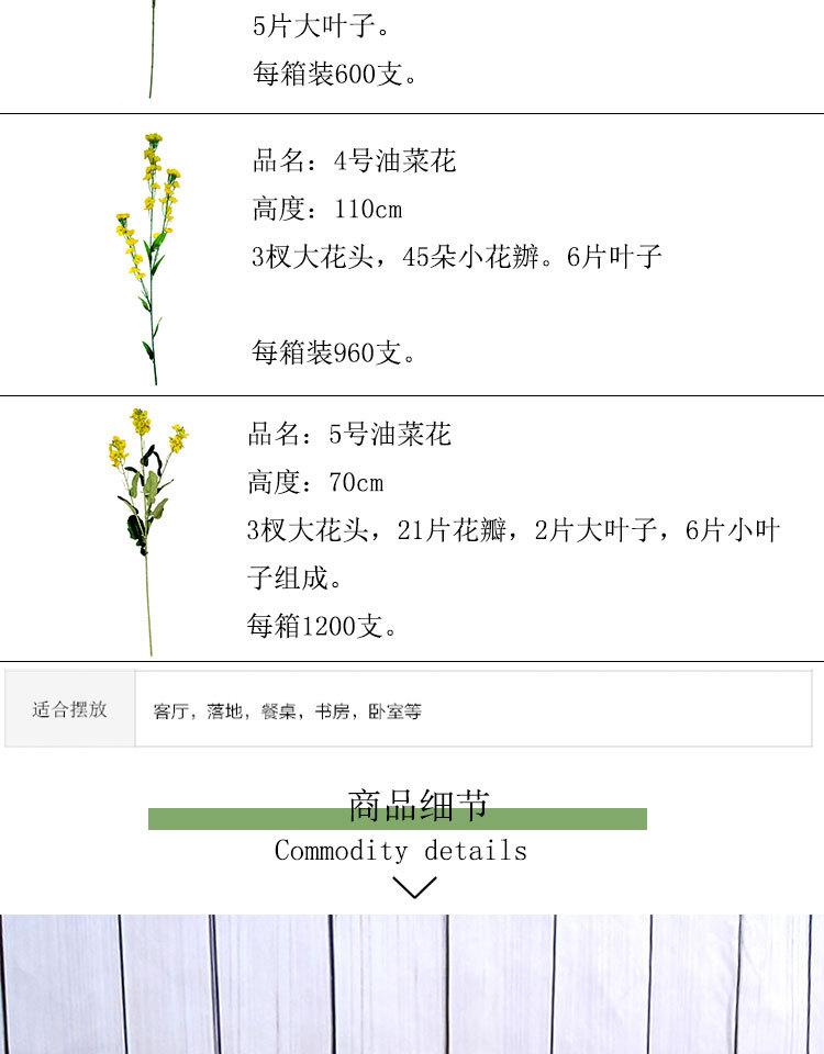 未标题-1_04.jpg