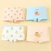Nuevos Calzones tipo Boxer de Algodón para Niñas Cómodos Transpirables Sin Costuras Calzones tipo Boxer Infantiles Estilo Niña Hechos a Medida