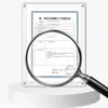 Lebang Venta al por Mayor Cinturón de Fijación de Articulación de Rodilla Soporte de Placa de Acero Rótula Rodilla Equipo para Extremidad Inferior Correa de Recuperación de Pierna Fijación