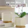 Macetas de Cerámica con Platos para Uso Doméstico al por Mayor, Macetas para Suculentas de Estilo Ins Simple Lujo Ligero Estilo Crema, Disponible para Dropshipping