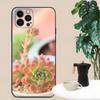 Adecuado para iPhone15 nueva carcasa de teléfono móvil verde suculento natural