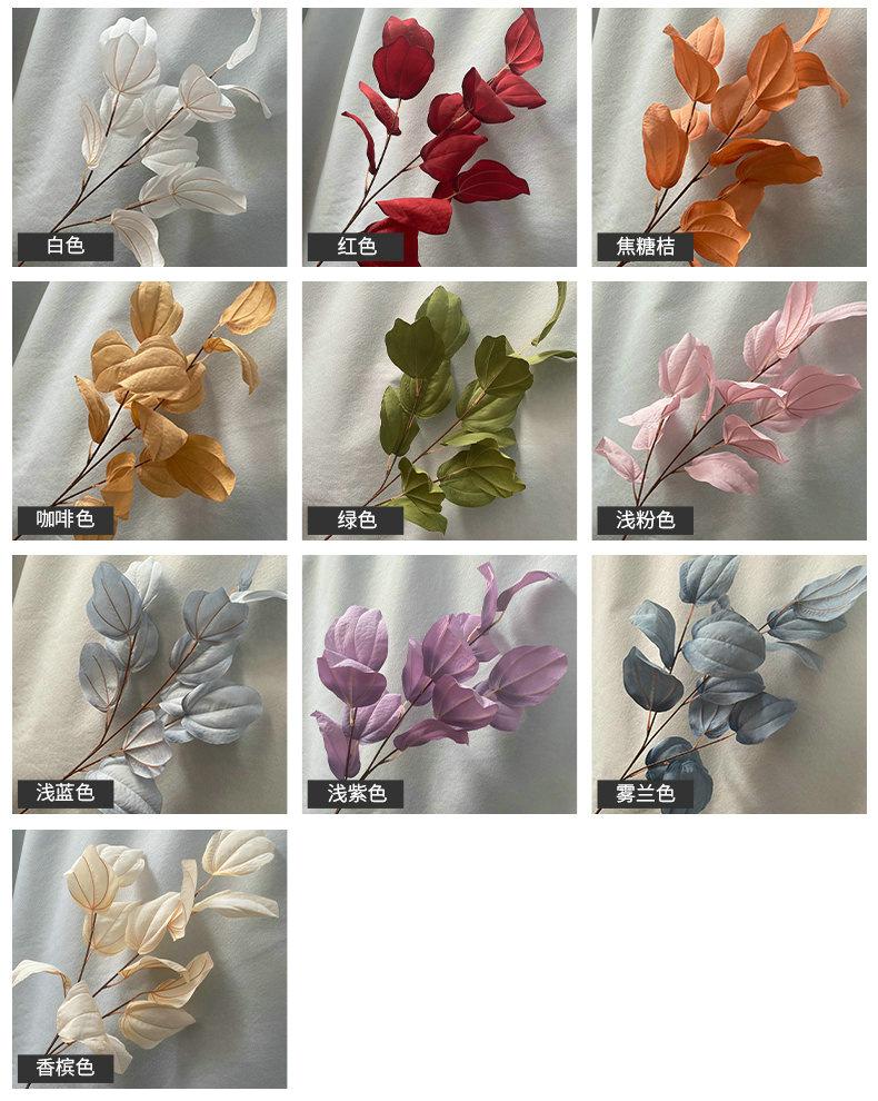 产品颜色.jpg