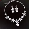 Colar de Flor de Zircônia Estilo Tribunal Transfronteiriço Europeu e Americano Gancho de Orelha Toque de Luxo Leve Corrente para Clavícula Conjunto Exclusivo da Moda