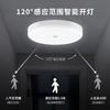 Lámpara de techo con inducción por radar para cuerpo humano Lámpara LED mágica Lámpara para escaleras Lámpara para pasillo Proyecto Zhongshan Lámpara LED de inducción