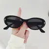 Novos Óculos de Sol Gatinho Retrô para Mulheres, Óculos de Sol de Coco de Alta Qualidade, Proteção Solar e Proteção UV, Óculos de Sol Fashionáveis Estilo Hot Girl