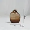 Venta al por mayor del fabricante Jarrón de Vidrio de Color de Diámetro Pequeño Jarrón para Flores Hidropónicas Decoración de Escritorio para Sala de Estar Adornos Botella de Vidrio