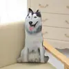 2026 Modelo Nuevo Almohada de Peluche Divertida con Forma de Animal y Patrón de Impresión Digital, Almohada Casera Casual y Cómoda
