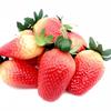 Modelo Simulado de Morango Morango de Plástico Mini Fruta e Legume Falso Adereços de Fotografia Fabricante Atacado para Vitrine