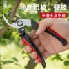 Tijeras de Podar para Árboles Frutales, Tijeras de Jardinería Domésticas de Acero Inoxidable, Tijeras de Podar Ramas y Flores, Tijeras para Recolectar y Injertar, Tijeras de Jardín para Recolectar Fruta