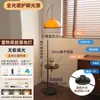 Luminária de chão estilo francês, luz ambiente simples de pôr do sol, luminária de design para sala de estar, luminária de chão de luxo leve para colocar ao lado do sofá