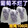 Bolsa Universal Antipalomas para Frutas, Bolsa Especial a Prueba de Insectos para Frutas y Verduras, Higo, Níspero, Uva, Durazno, Melón Amargo Bolsa de Malla