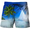 Pantalones casuales estilo hawaiano impresión digital creativa 3D ocio resort pantalones de playa 2024 comercio exterior Amazon para hombre