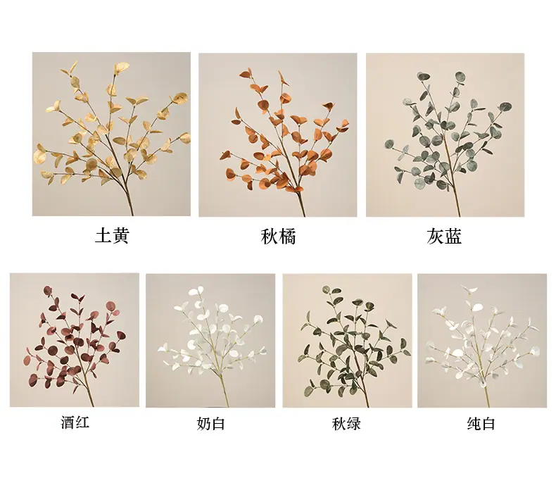 欣荣PE36片叶尤加利_04.jpg