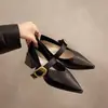 Zapatos de cuero para mujer de moda con una sola correa, nuevo modelo de otoño 2026, tacón grueso, punta fina, tacones altos